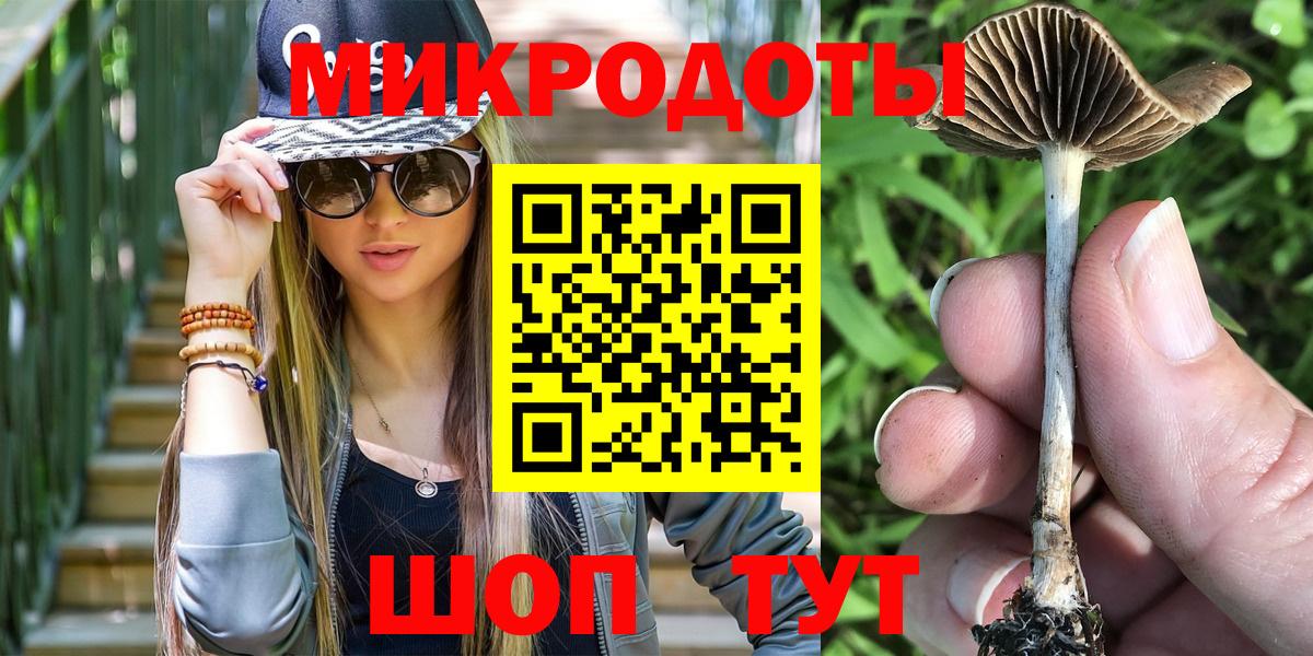 Псилоцибиновые грибы Psilocybe Янаул