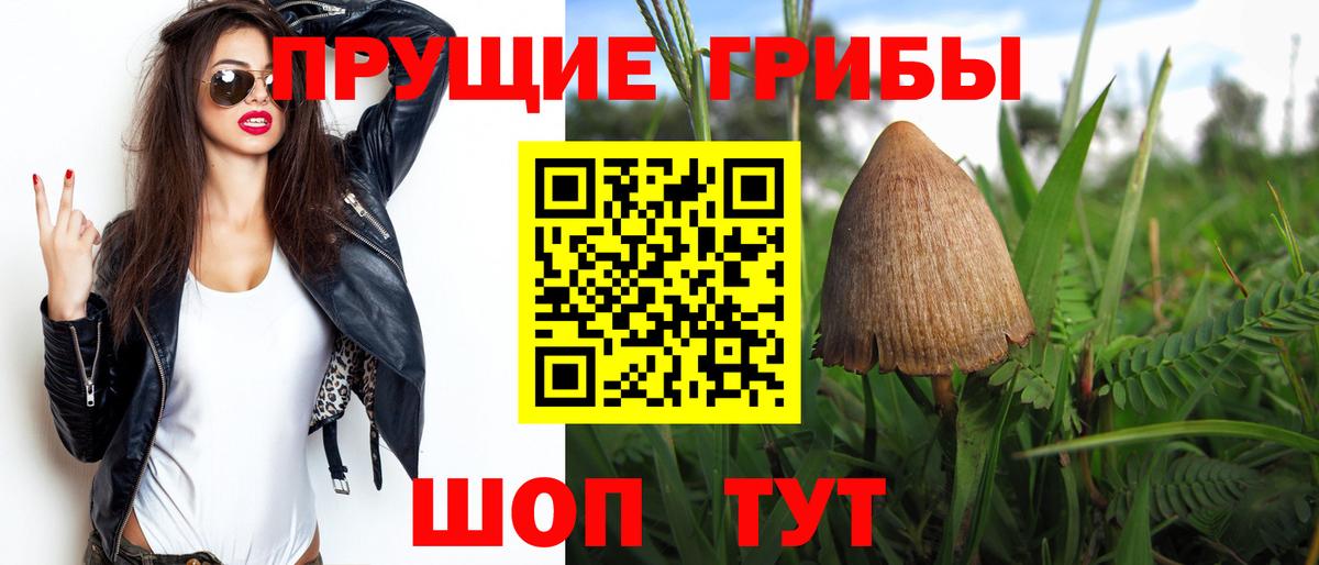 Псилоцибиновые грибы MAGIC MUSHROOMS  Вход с VPN  Янаул 